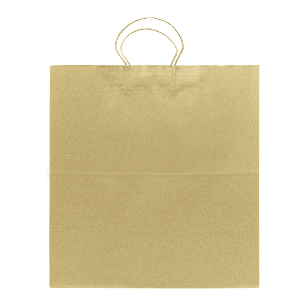 Newport Paper Shopping Bag with Twisted Handles