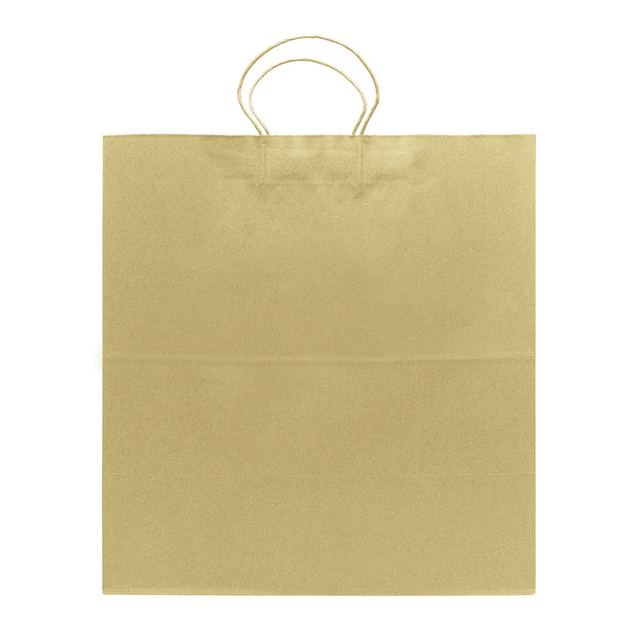 Newport Paper Shopping Bag with Twisted Handles