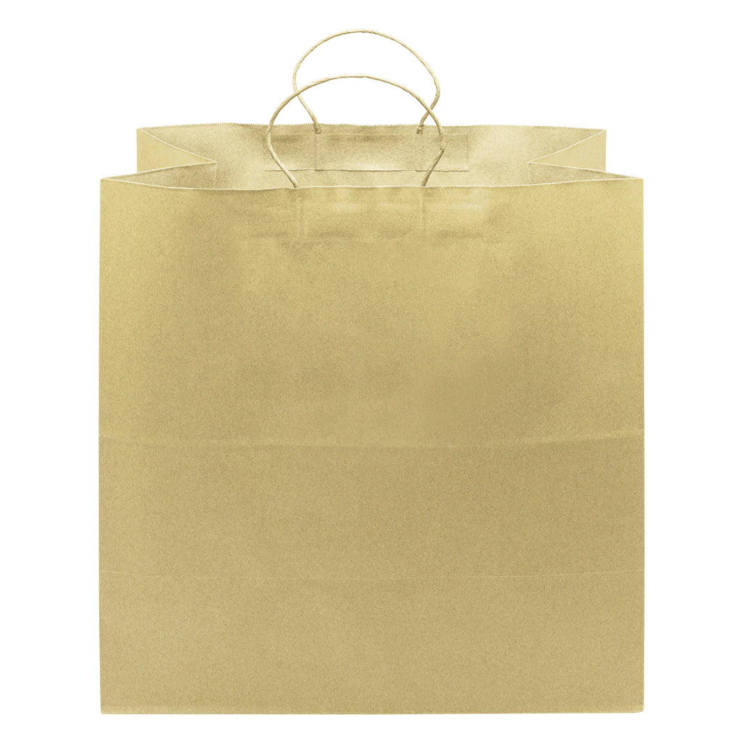 Newport Paper Shopping Bag with Twisted Handles