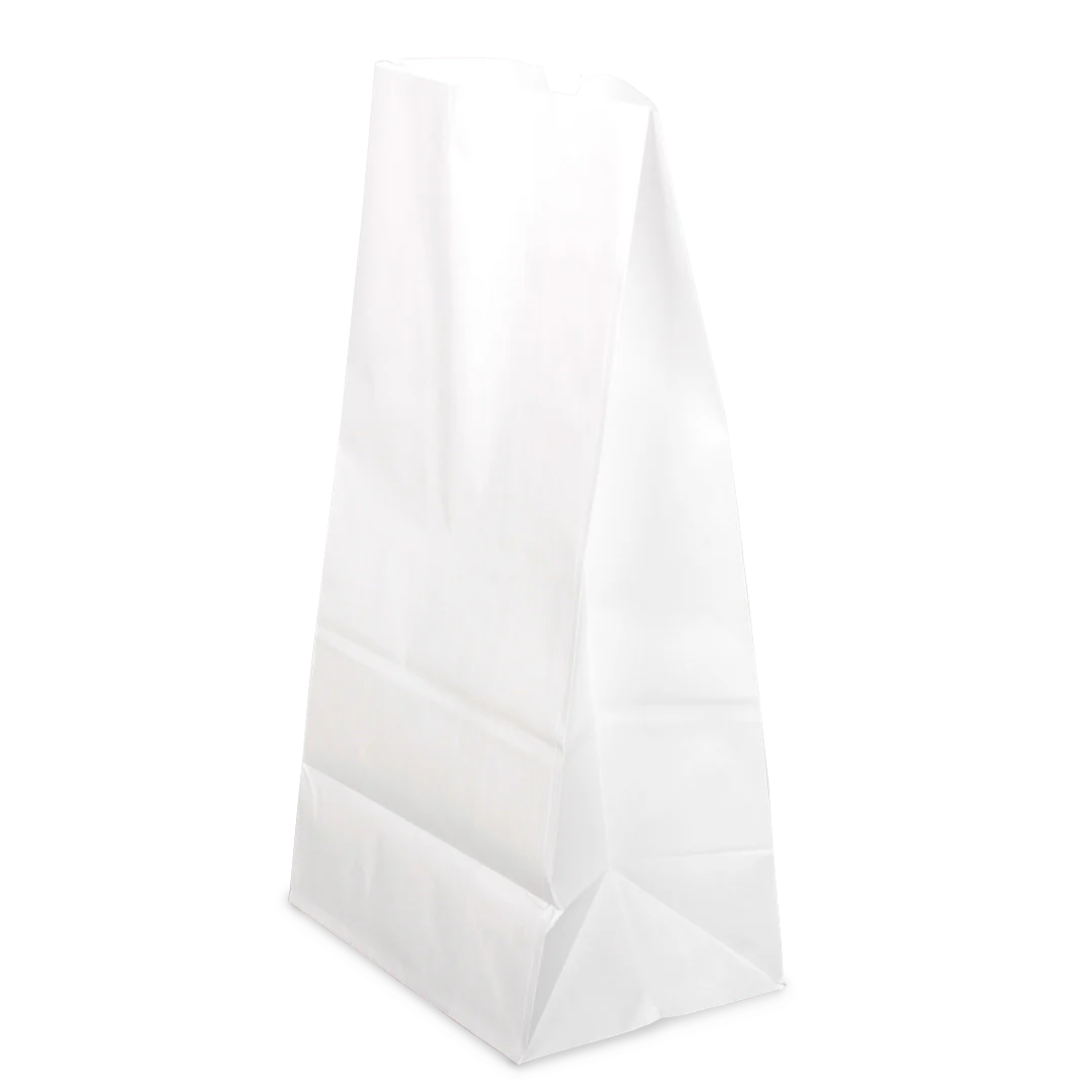 20 lb Paper Bag, White
