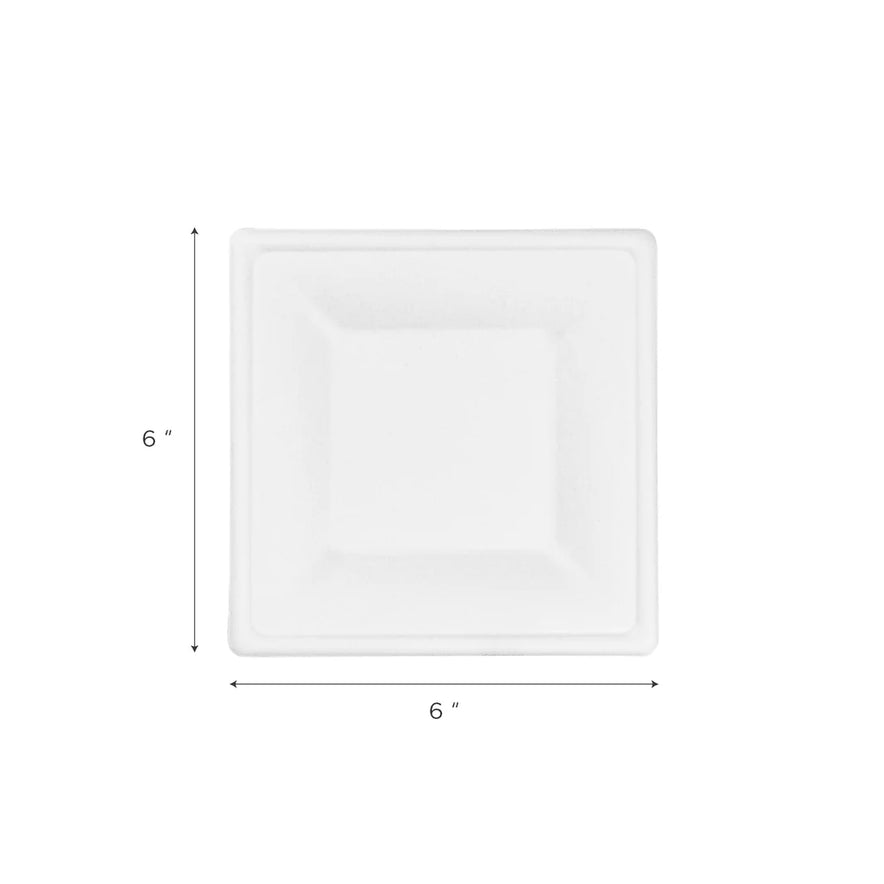 6"x 6" PFAS Free Bagasse Square Plate, White
