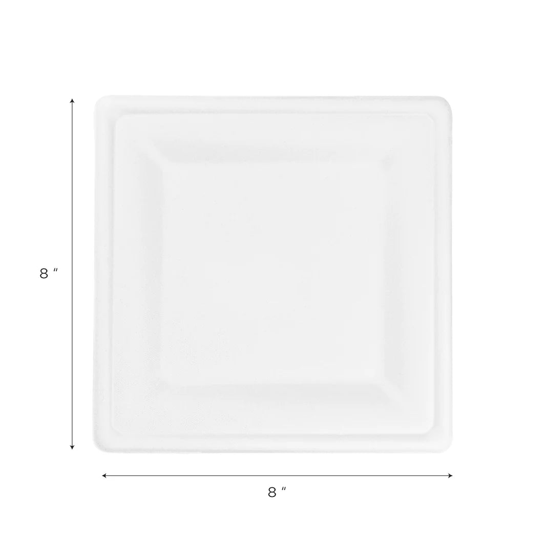 8" x 8" PFAS Free Bagasse Square Plate, White