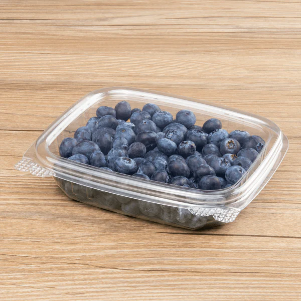 8 oz PET Plastic Hinged Deli Container