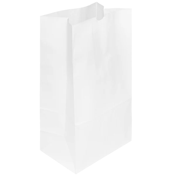 20 lb Paper Bag, White