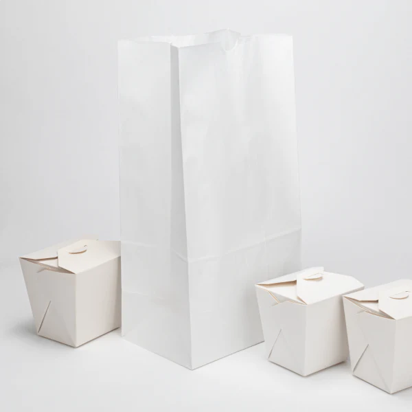 20 lb Paper Bag, White