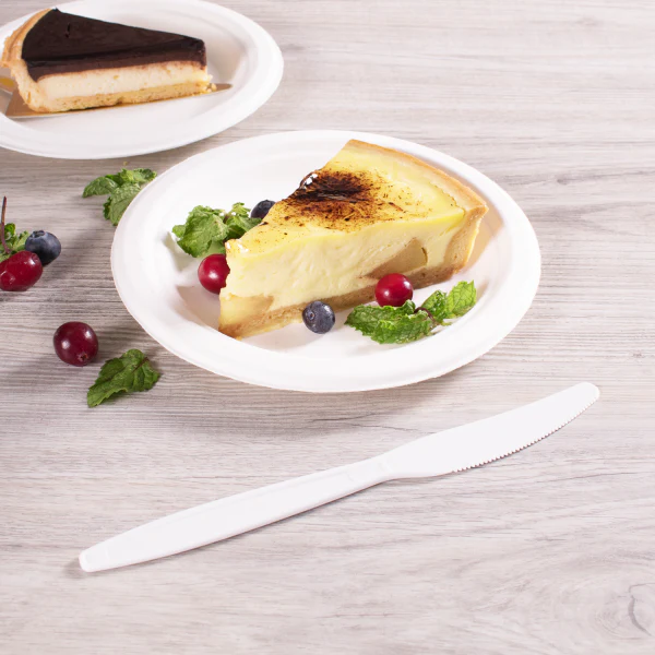 PP Plastic Extra Heavy Weight Knives, White