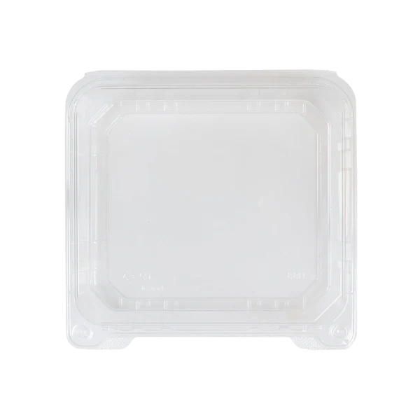 8''x8'' PET Plastic Hinged Containers