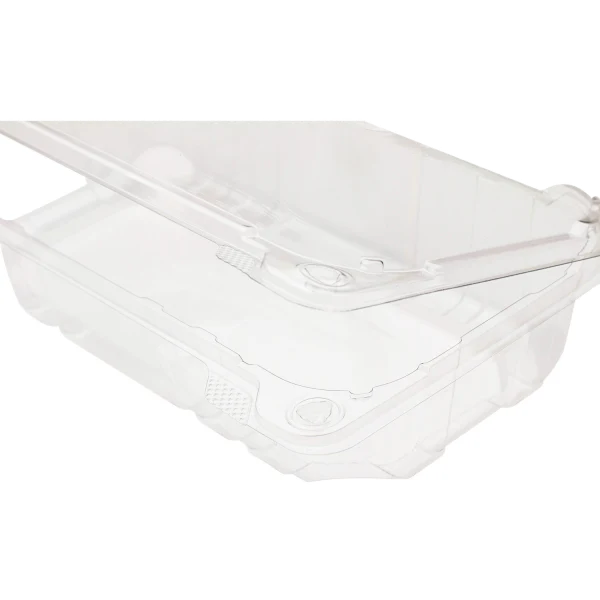 9" x 5" PET Plastic Hinged Containers