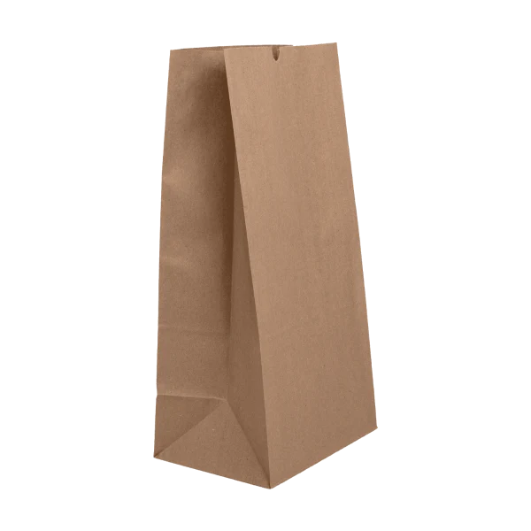 20 lb Paper Bag, Kraft