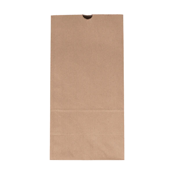 20 lb Paper Bag, Kraft