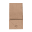 20 lb Paper Bag, Kraft